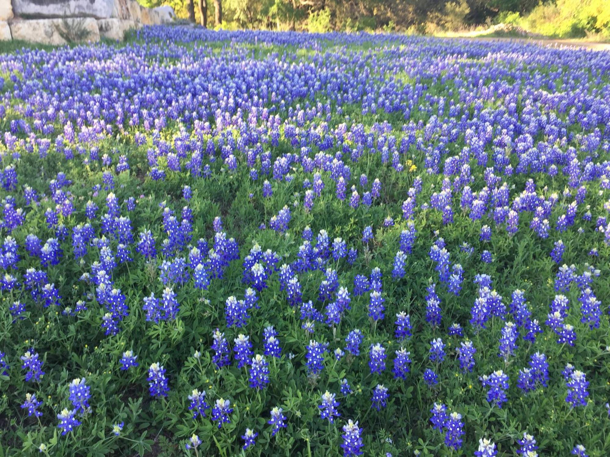 V700 Ranch Stays Marble Falls Bagian luar foto