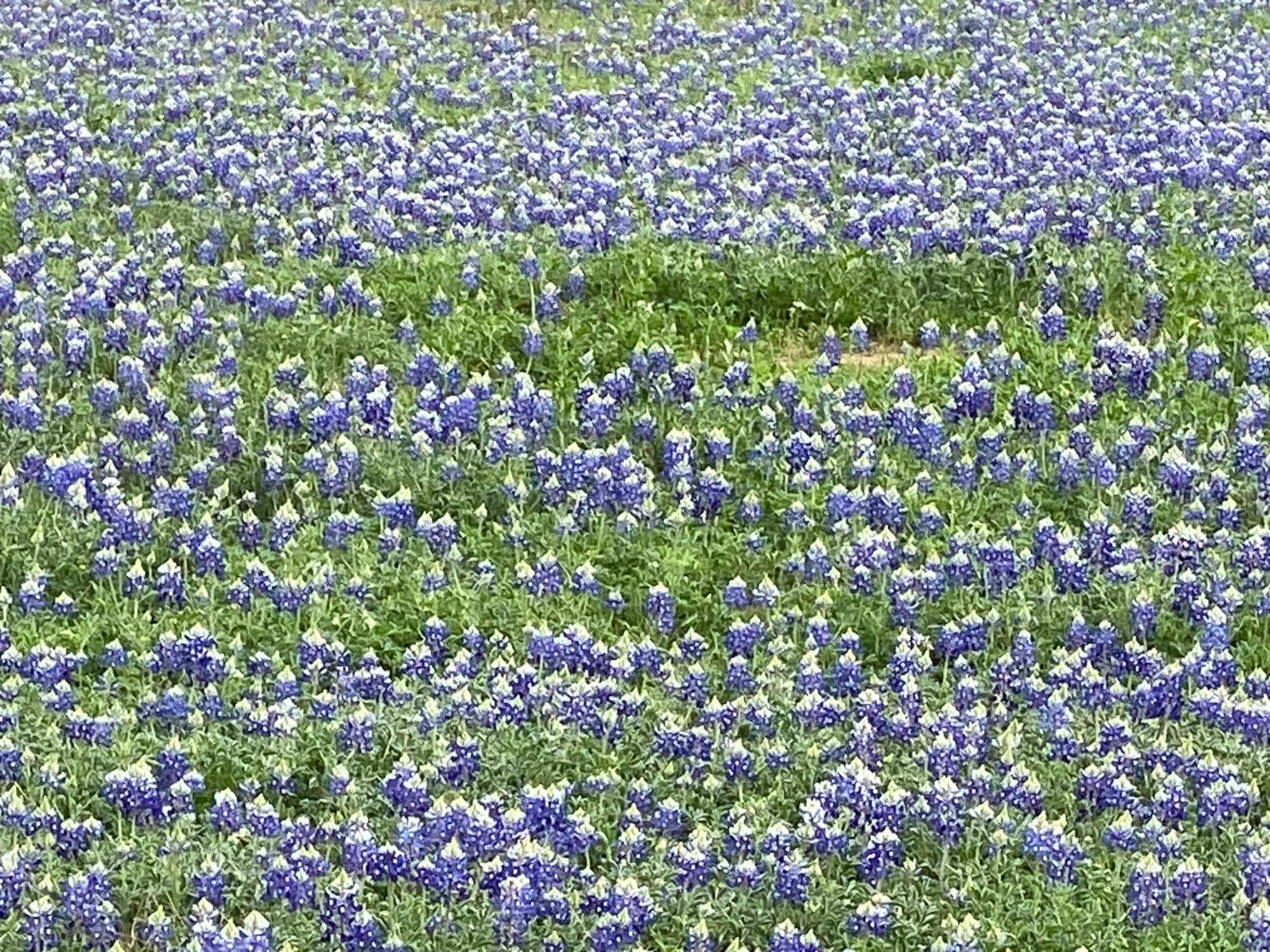 V700 Ranch Stays Marble Falls Bagian luar foto