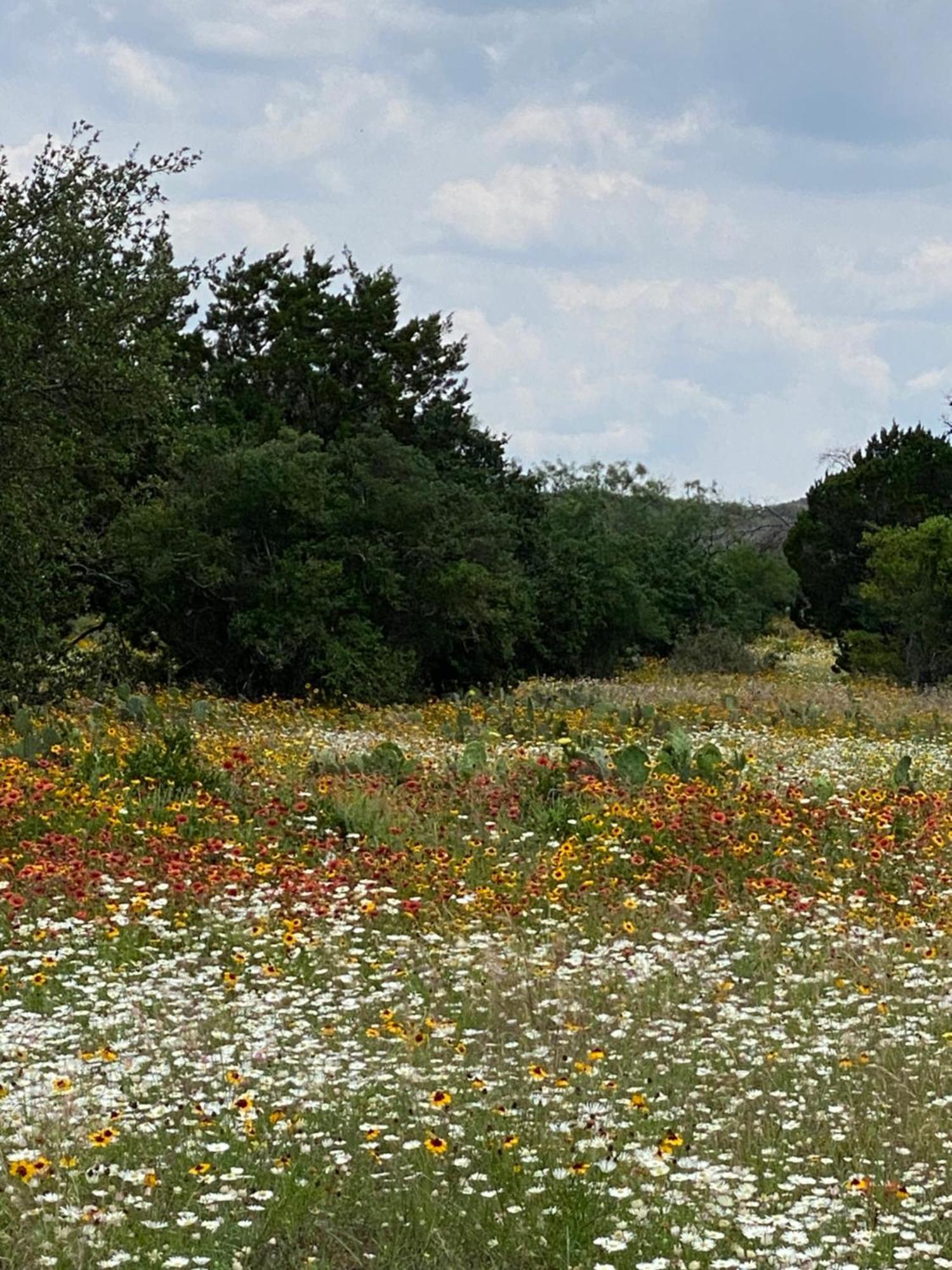V700 Ranch Stays Marble Falls Bagian luar foto