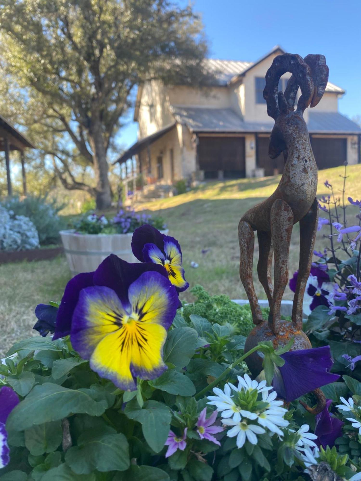 V700 Ranch Stays Marble Falls Bagian luar foto
