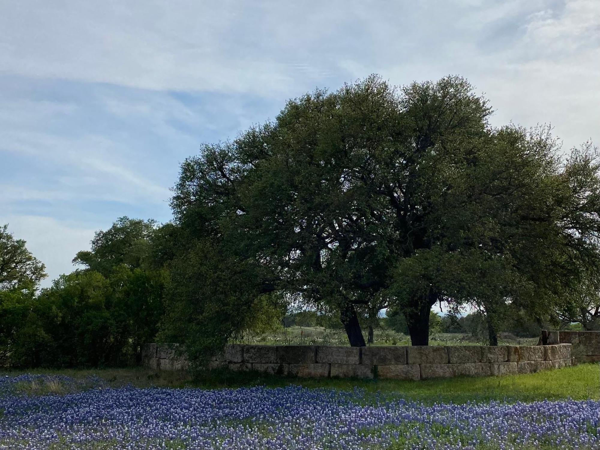 V700 Ranch Stays Marble Falls Bagian luar foto